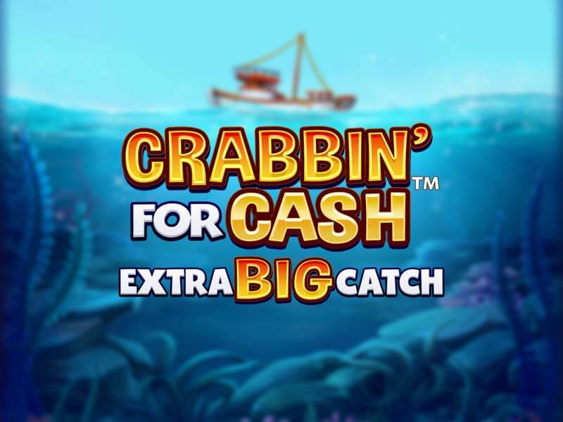 Cashback VIP Semanal brlbet com brasil